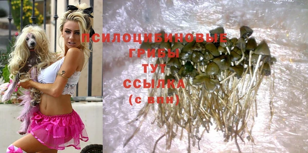 соль курить ск Семёнов
