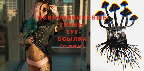 не бодяженный Снежногорск