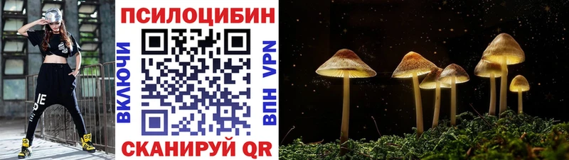 Псилоцибиновые грибы мицелий  Купить где  Ивангород 