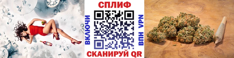 Купить где  Ивангород  МАРИХУАНА SATIVA & INDICA 